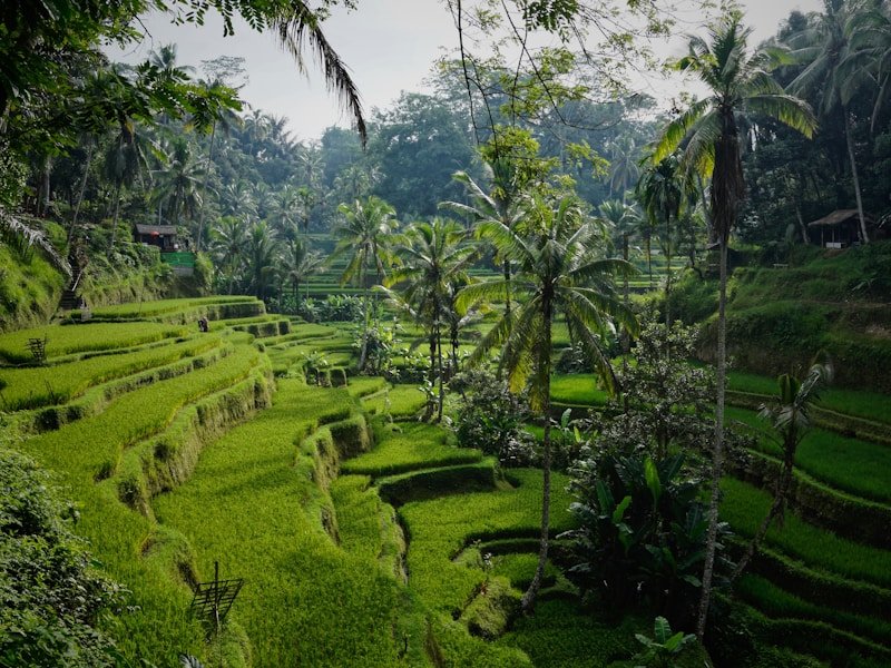 Manufacturing facility in Southeast Asia